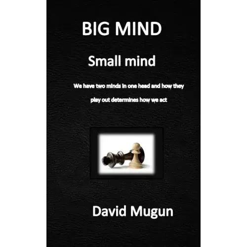 BIG MIND small mind: We have two minds in one head