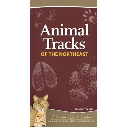 Animal Tracks of the Northeast: Your Way to Easily Identify Animal Tracks