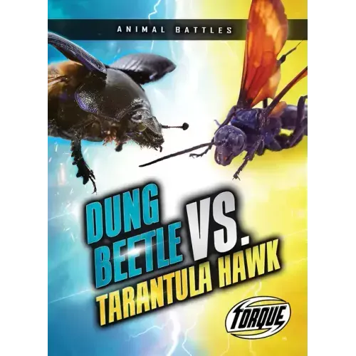 Dung Beetle vs. Tarantula Hawk
