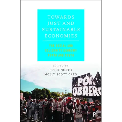 Towards Just and Sustainable Economies: The Social and Solidarity Economy North and South