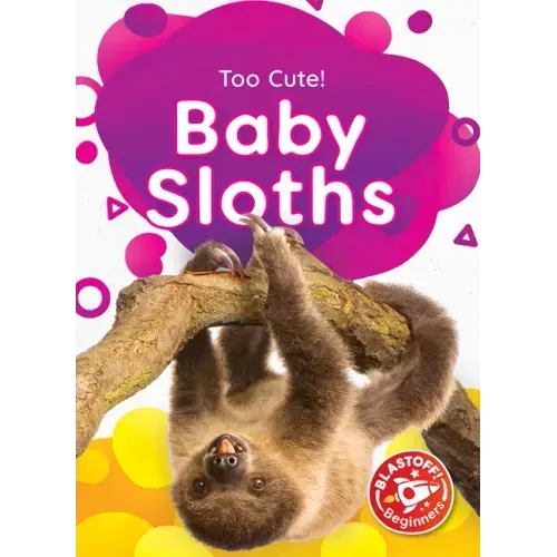 Baby Sloths