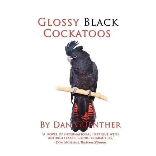 Glossy Black Cockatoos