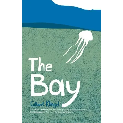 The Bay