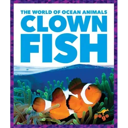 Clown Fish