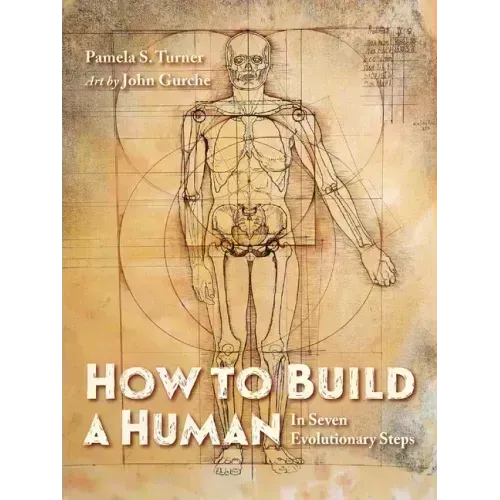 How to Build a Human: In Seven Evolutionary Steps