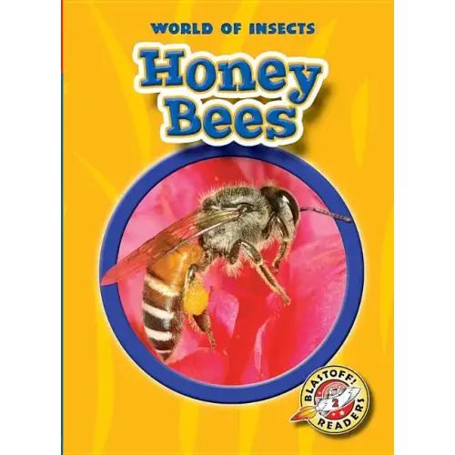 Honey Bees