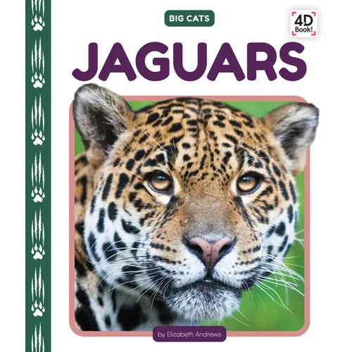 Jaguars