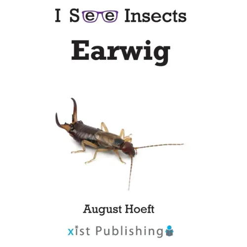 Earwig