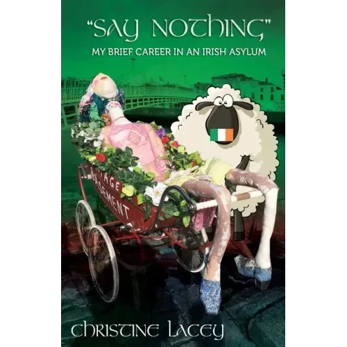 Say Nothing-My Brief Career in an Irish Asylum