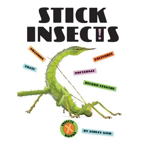 Stick Insects