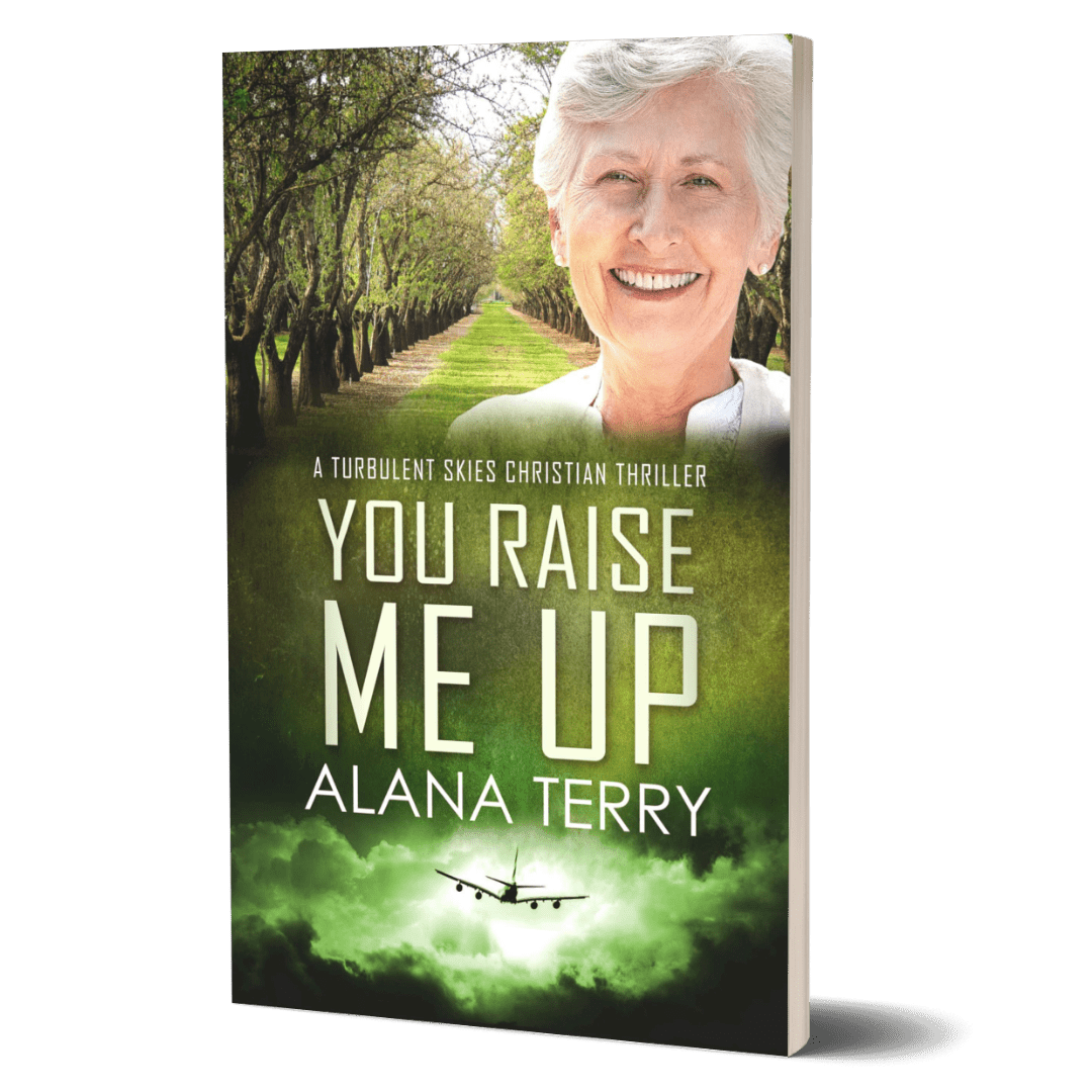 You Raise Me Up: Turbulent Skies #6 Book