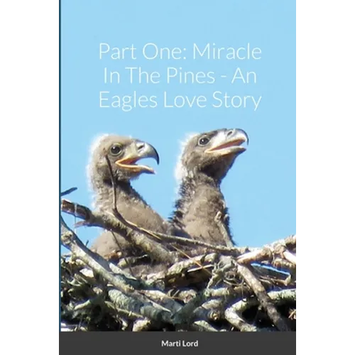 Part One: Miracle In The Pines - An Eagles Love Story