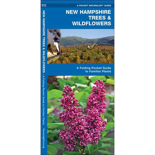 New Hampshire Trees & Wildflowers: A Folding Pocket Guide to Familiar Plants