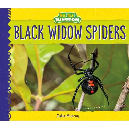 Black Widow Spiders