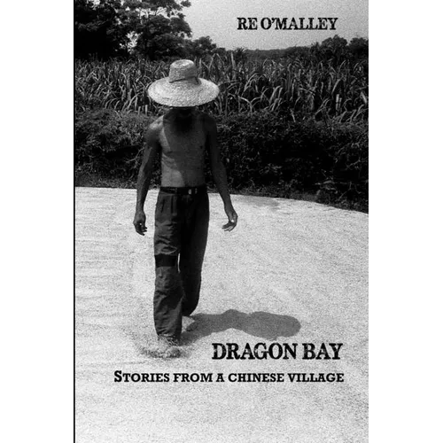 Dragon Bay: Stories from a Chinese Village