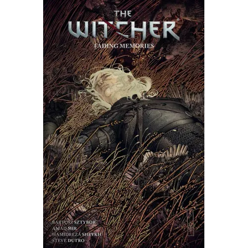 The Witcher Volume 5: Fading Memories