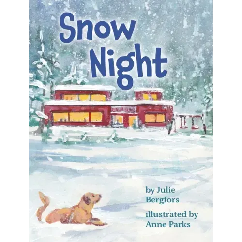Snow Night