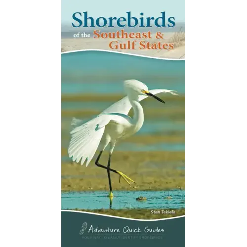 Shorebirds of the Southeast & Gulf States: Your Way to Easily Identify Shorebirds