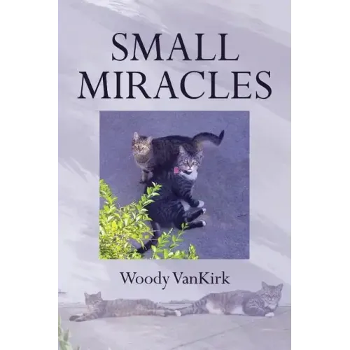 Small Miracles