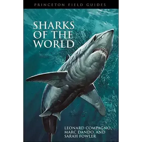 Sharks of the World