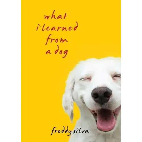 What I Learned From A Dog