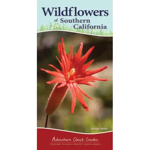 Wildflowers of Southern California: Your Way to Easily Identify Wildflowers