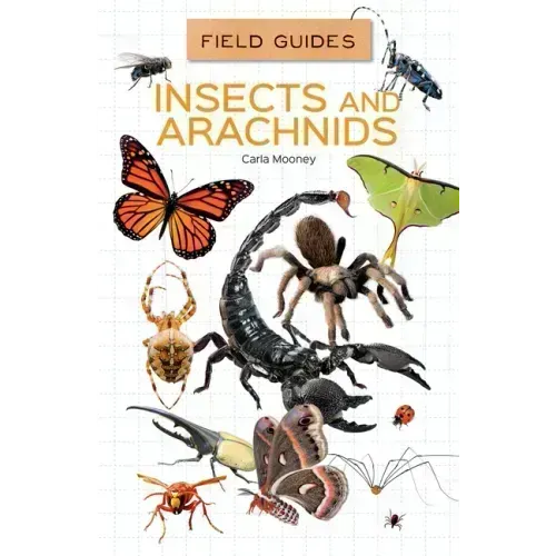 Insects and Arachnids