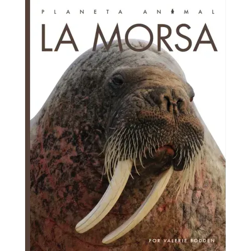 La Morsa