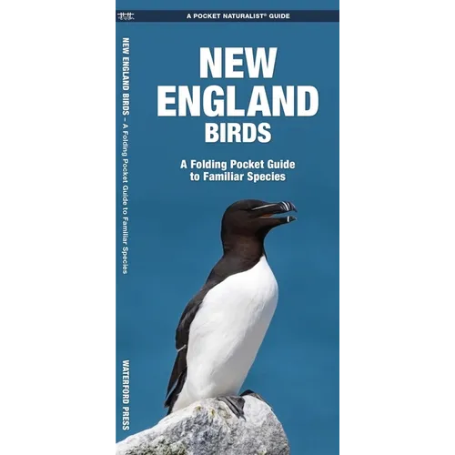 New England Birds: A Folding Pocket Guide to Familiar Species