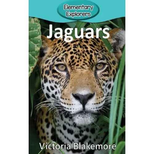 Jaguars
