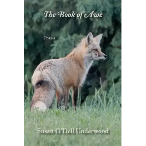 The Book of Awe