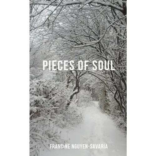 Pieces of Soul