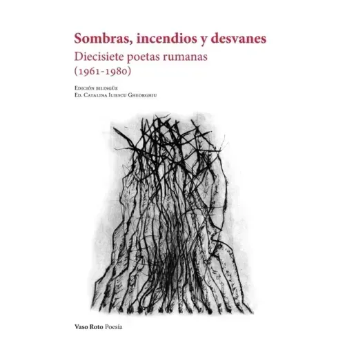 Sombras, incendios y desvanes