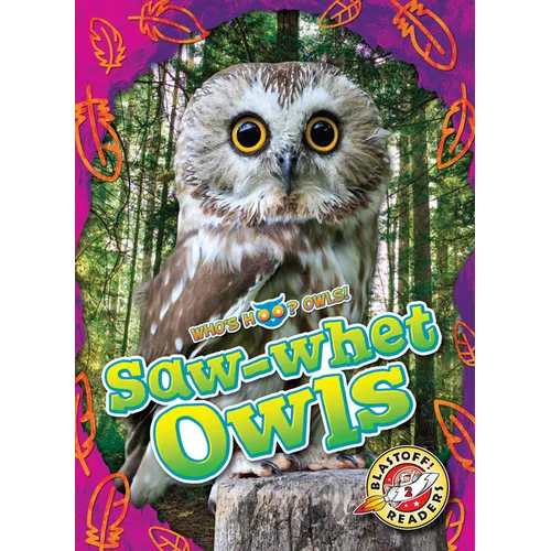 Saw-Whet Owls
