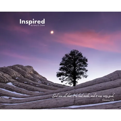 Inspired: Photography Offering Encouragement