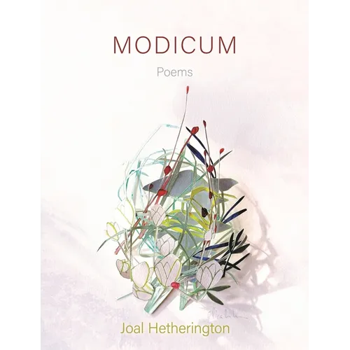 Modicum: Poems