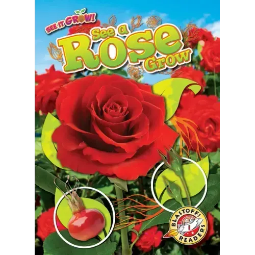 See a Rose Grow