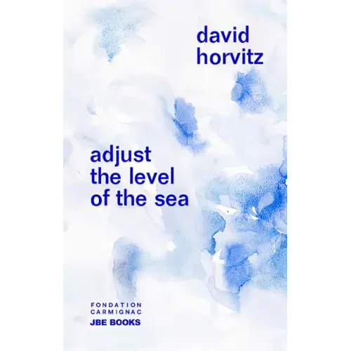 David Horvitz: Adjust the Level of the Sea