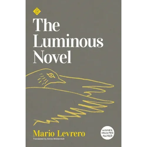 Luminous Novel