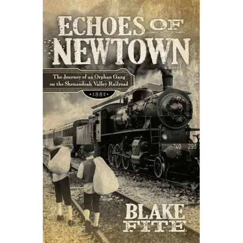 Echoes of Newtown