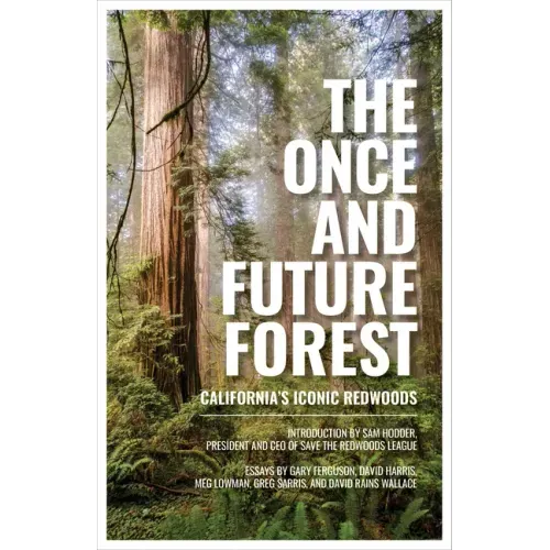 The Once and Future Forest: California's Iconic Redwoods