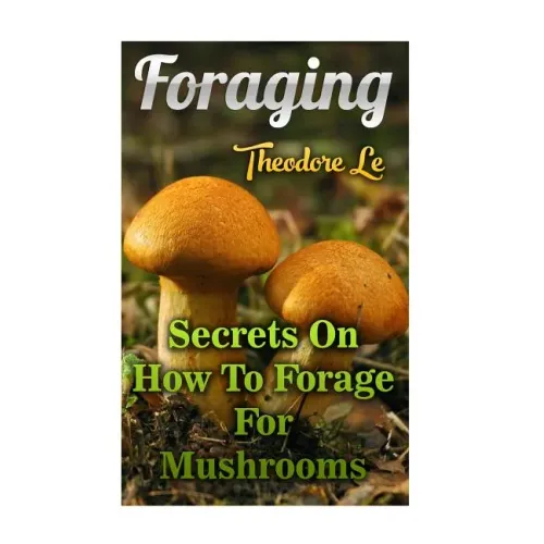 Foraging: Secrets On How To Forage For Mushrooms