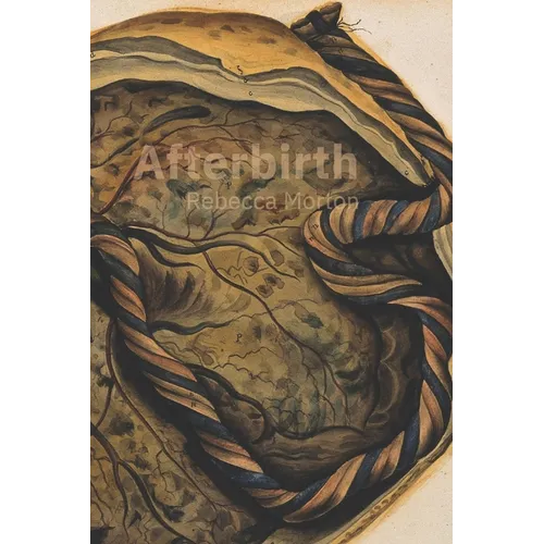 Afterbirth
