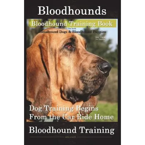 Bloodhounds, Bloodhound Training Book For both Bloodhound Dogs & Bloodhound Puppies By D!G THIS DOG Training: Dog Training Begins From the Car Ride Ho