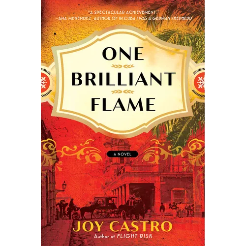 One Brilliant Flame