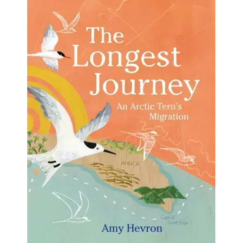 The Longest Journey: An Arctic Tern's Migration