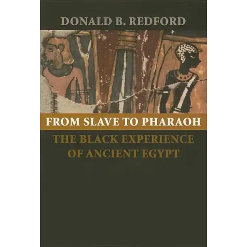 From Slave to Pharaoh: The Black Experience of Ancient Egypt