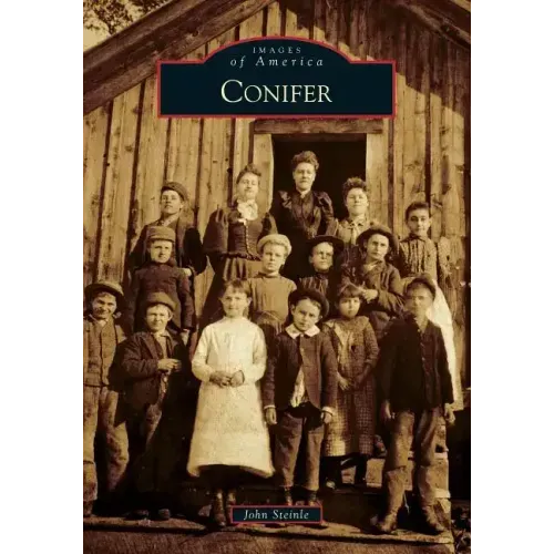 Conifer