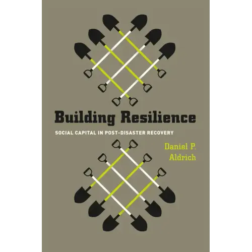 Building Resilience: Social Capital in Post-Disaster Recovery