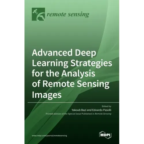 Advanced Deep Learning Strategies for the Analysis of Remote Sensing Images